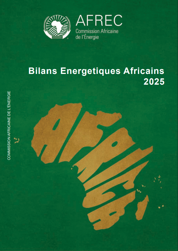 Bilans Energetiques Africains 2025
