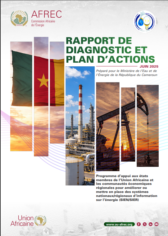 Cameroon - DIAGNOSTIC REPORT AND ACTION PLAN