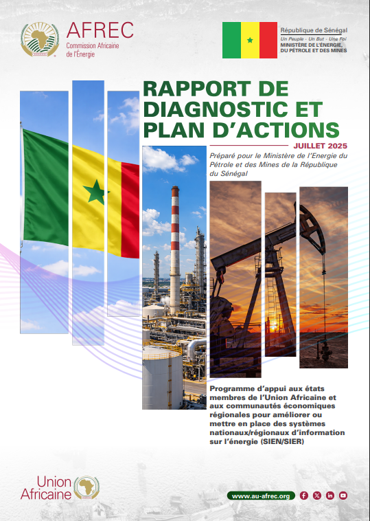 Senegal -DIAGNOSTIC REPORT AND ACTION PLAN