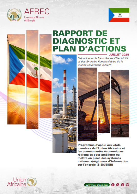 Equatorial Guinea DIAGNOSTIC REPORT AND ACTION PLAN