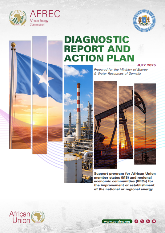 Somalia DIAGNOSTIC REPORT AND ACTION PLAN