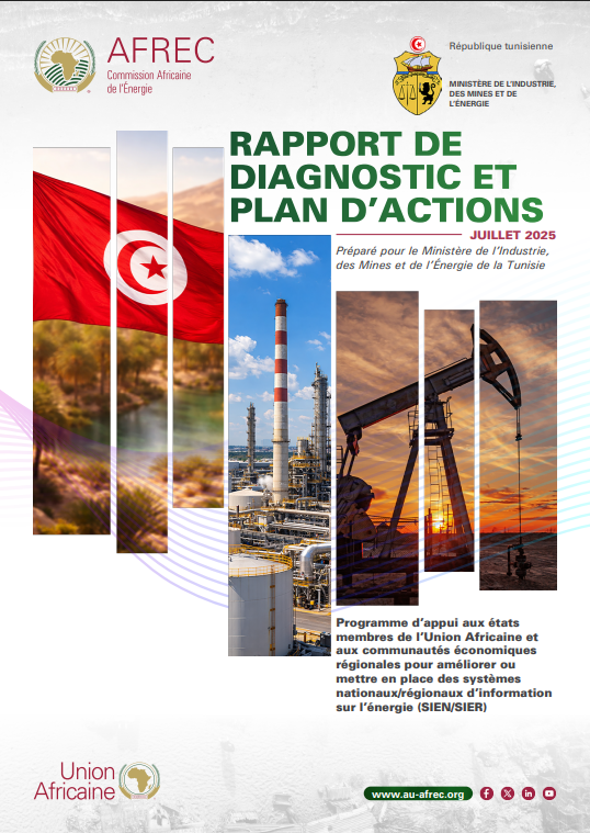 Tunisia DIAGNOSTIC REPORT AND ACTION PLAN