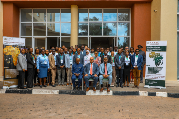 MEPS Development, Implementations and Adoption Hybrid Training