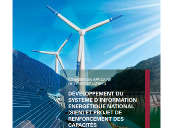 Burkina Faso - DIAGNOSTIC REPORT AND ACTION PLAN