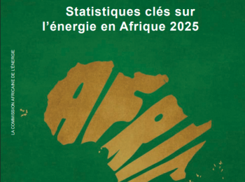 Statistiques clés sur l’énergie en Afrique 2025