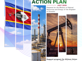 Eswatini - DIAGNOSTIC REPORT AND ACTION PLAN