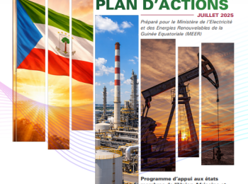 Equatorial Guinea DIAGNOSTIC REPORT AND ACTION PLAN