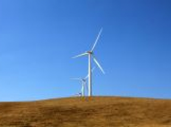 windmill