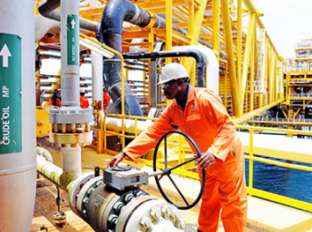 Natural Gas in the African Energy Landscape